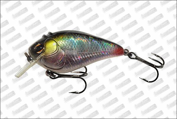 IMAKATSU Scare Brow 57 #288