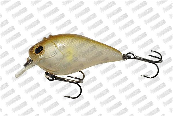 IMAKATSU Scare Brow 57 #12