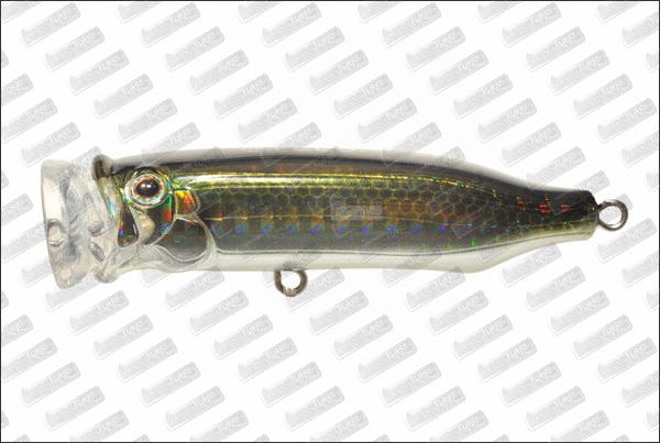 TACKLE HOUSE Feed Popper 70 #8