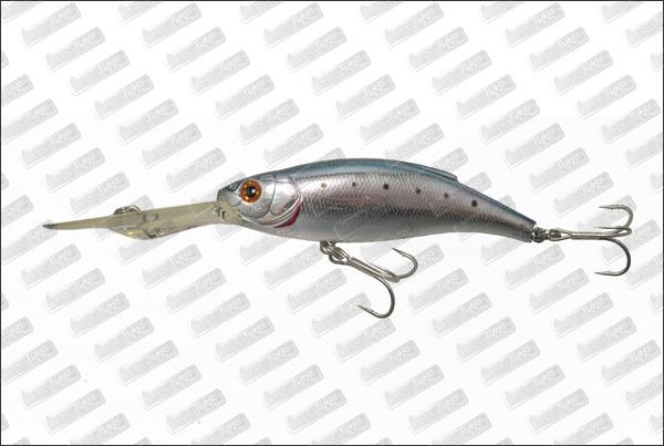 BASSDAY Mogul 85F (WOF) #034