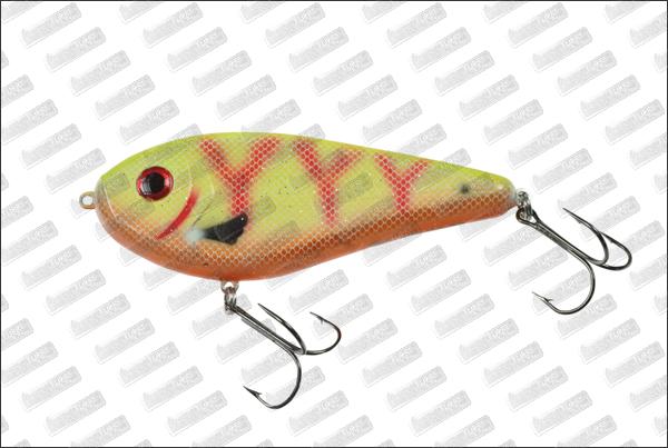 I-FISH The Guide #04