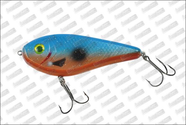 I-FISH The Guide #05