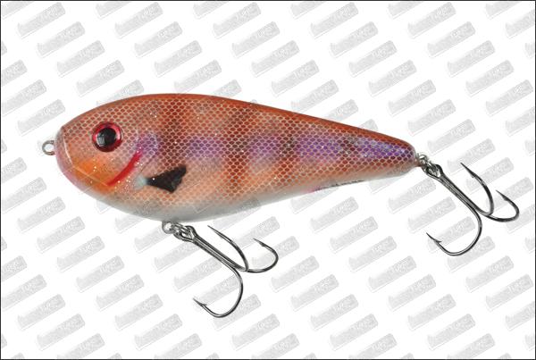 I-FISH The Guide #07