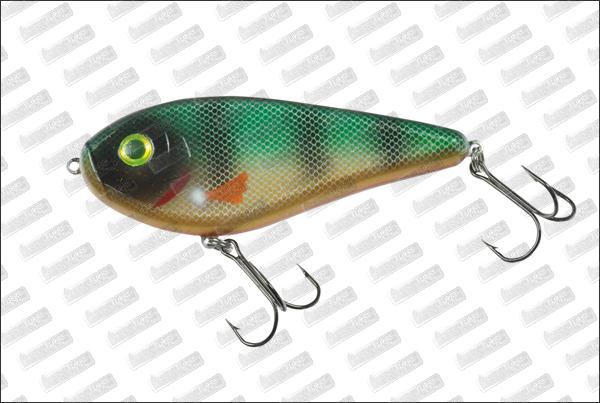 I-FISH The Guide #10