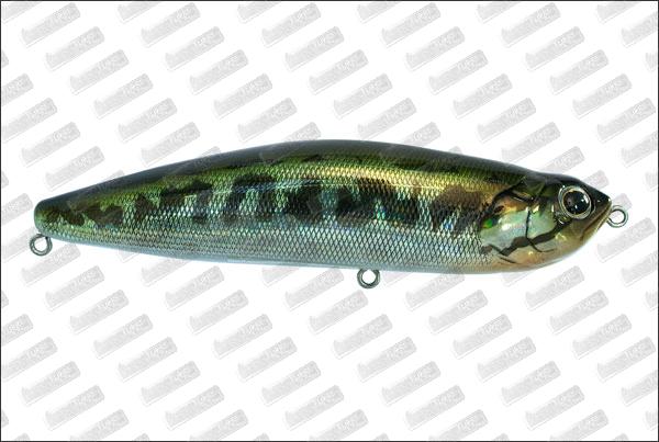 ZENITH Z-Claw Original #017