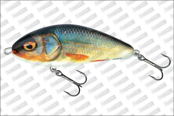 SALMO Fasto 10 cm Sinking #RR