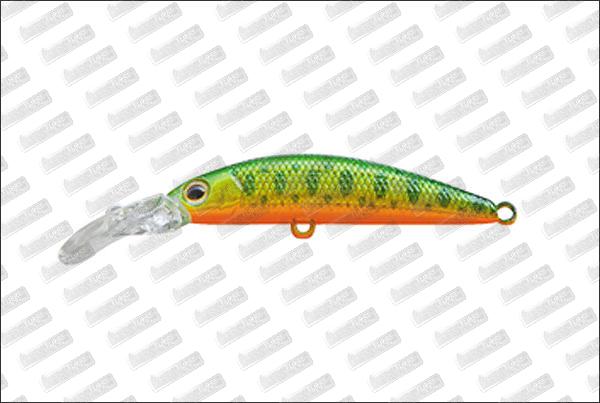 JACKSON Trout Tune Deep S #KY