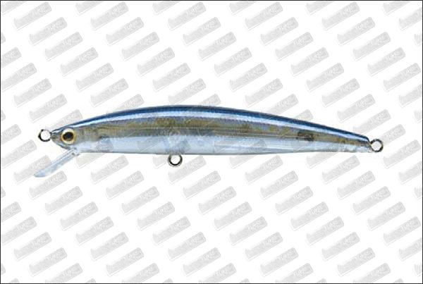 JACKSON Athlete 7Sp Qu-on Edition #BLS