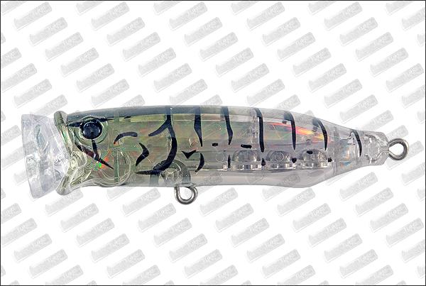 TACKLE HOUSE Feed Popper 70 #4