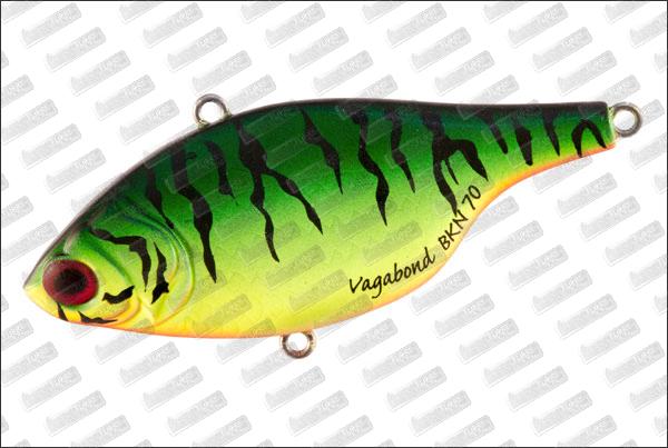 VAGABOND BKN 70 #100 Hot Tiger