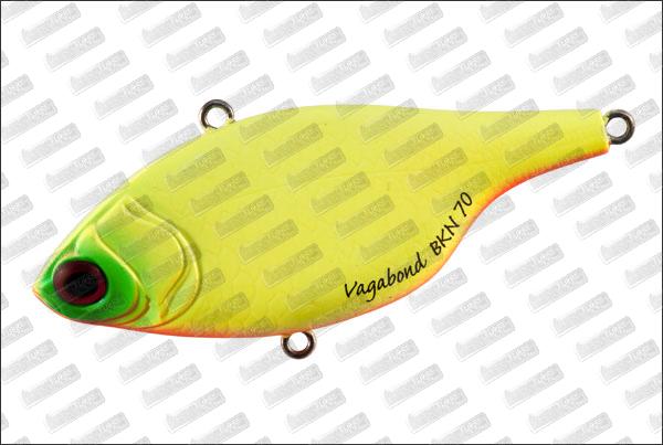 VAGABOND BKN 70 #122 Chart Orange Belly