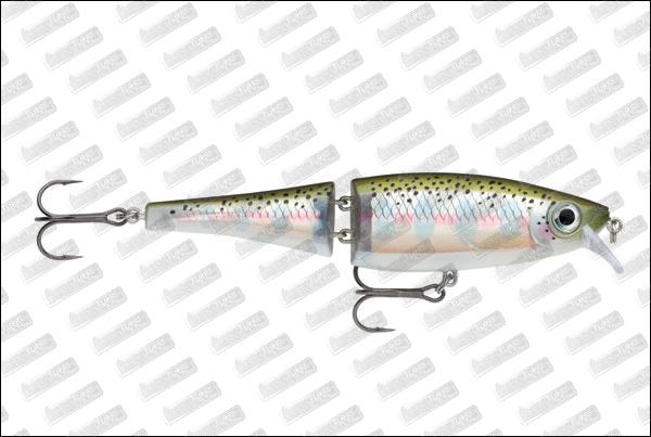 RAPALA BX Swimmer 120 #RT