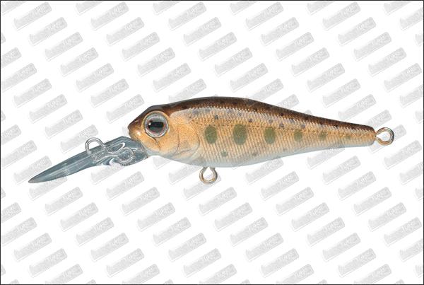 SMITH Jade MD SP #13