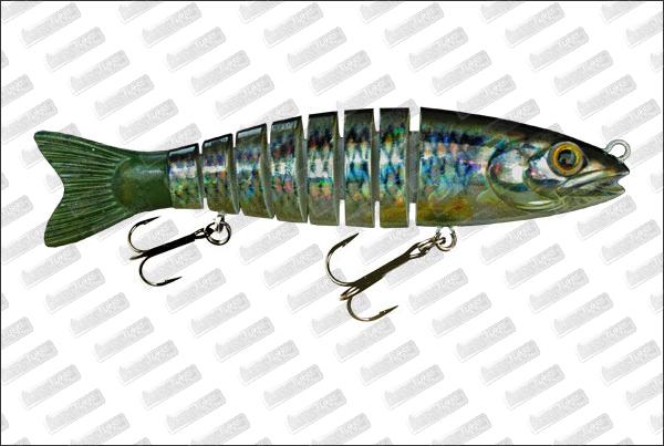 BIWAA S'tröut 5.5 #17