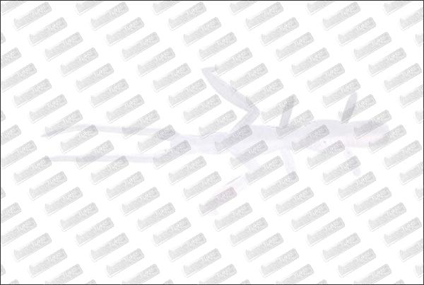 JACKSON Warekala 2.3'' #PLB