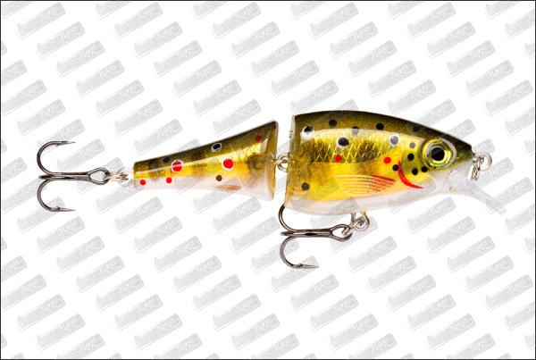 RAPALA BX Jointed Shad 06 #TR