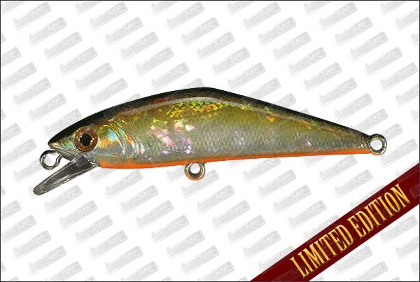 SMITH D-Contact 50 Type II Limited Awabi #02