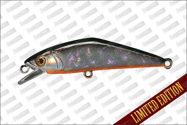 SMITH D-Contact 50 Type II Limited Awabi #03