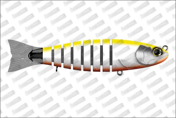 BIWAA S'tröut 7.5 #19