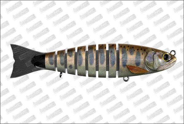 BIWAA S'tröut 7.5 #20