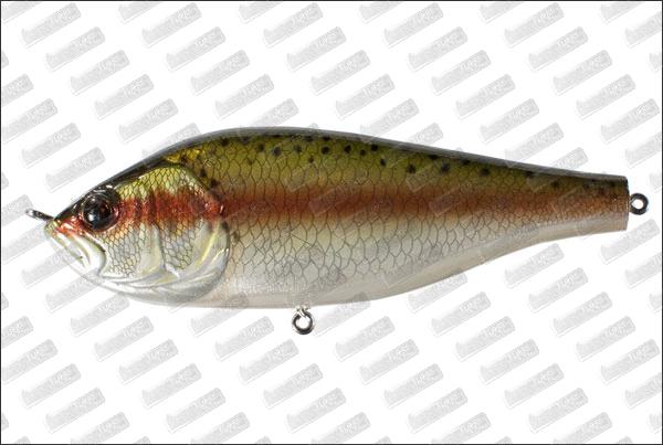 VAGABOND Glde Hustler 130 #006