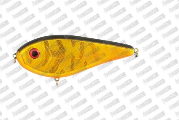 I-FISH The Guide #38