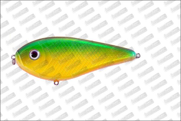 I-FISH The Guide #37