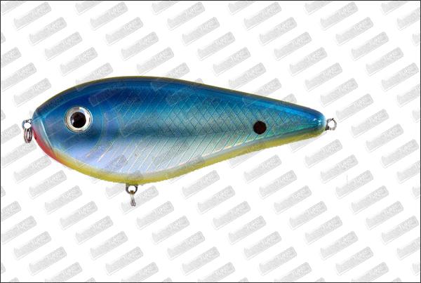 I-FISH The Guide #36