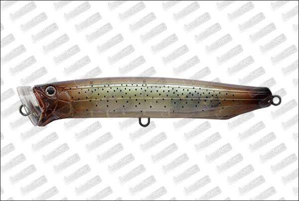 TACKLE HOUSE Feed Popper 120 #20