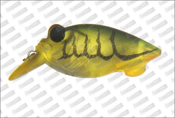 MEGABASS Baby Griffon #Shrimp