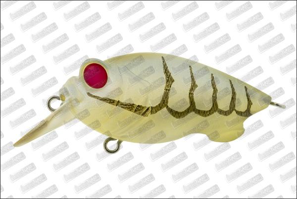 MEGABASS Baby Griffon #Redeye Glass Shrimp