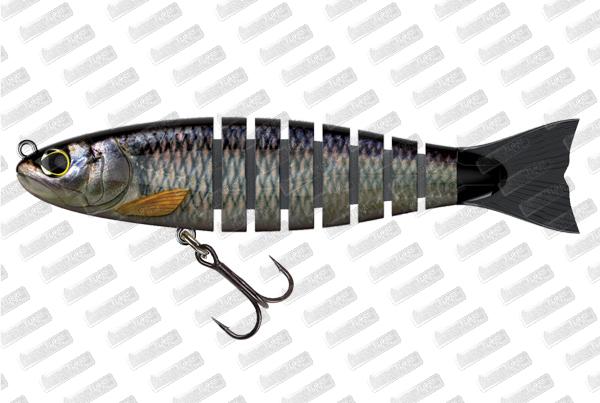 BIWAA S'tröut 3.5 #15