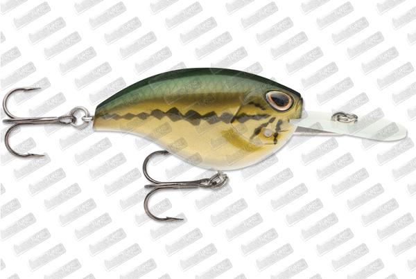 STORM ARASHI Rattling Flat 7 #Baby Bass