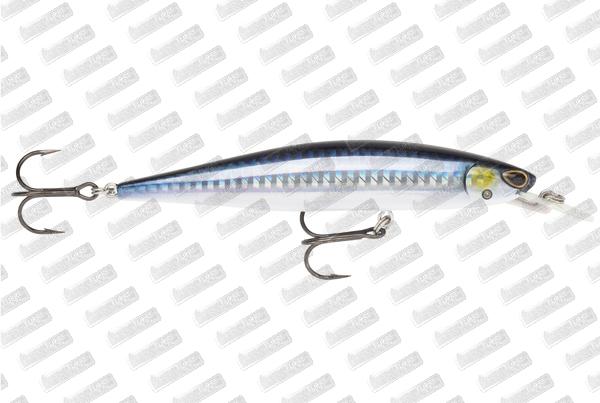 STORM ARASHI Rattling Minnow 11 #Metalic Holo Blue