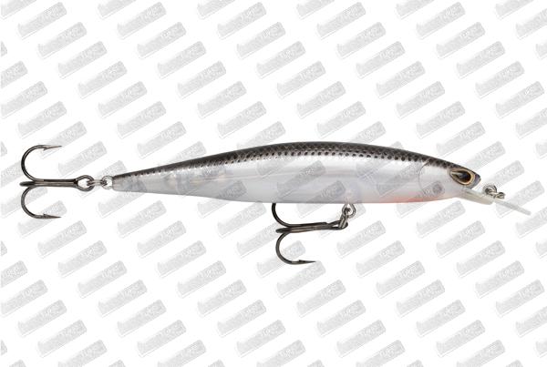 STORM ARASHI Rattling Minnow 11 #Ghost Shad
