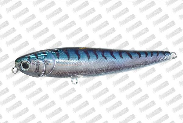 MEGABAIT Chihuahua 110 #682