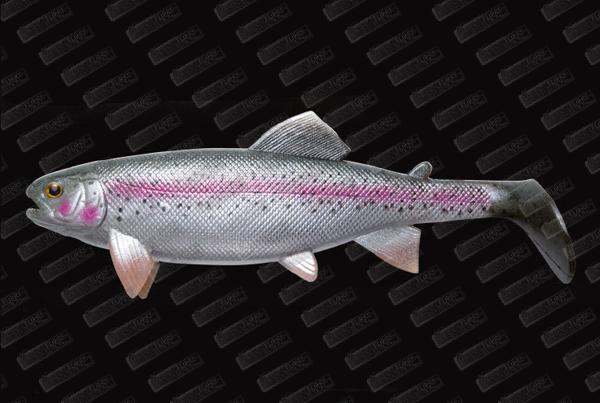 JACKSON CEBBRA The Trout 13cm #Rainbow Trout