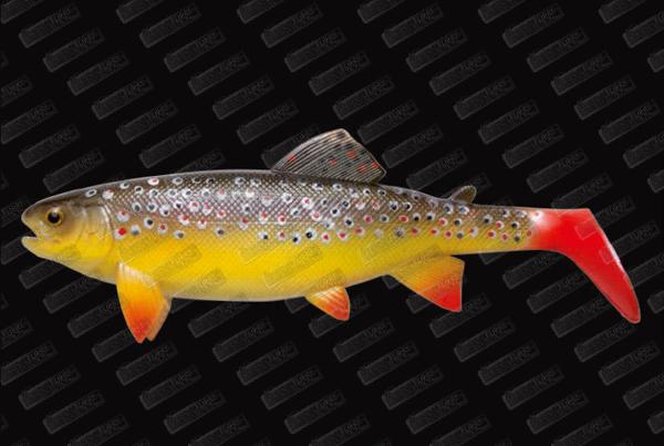 JACKSON CEBBRA The Trout 23cm #Brown Trout