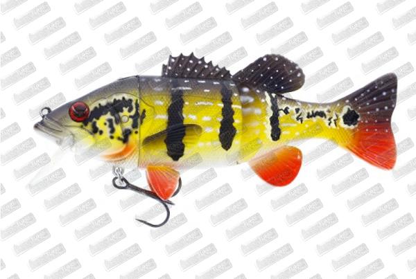 WESTIN Barry The Bass #Peacock Bass