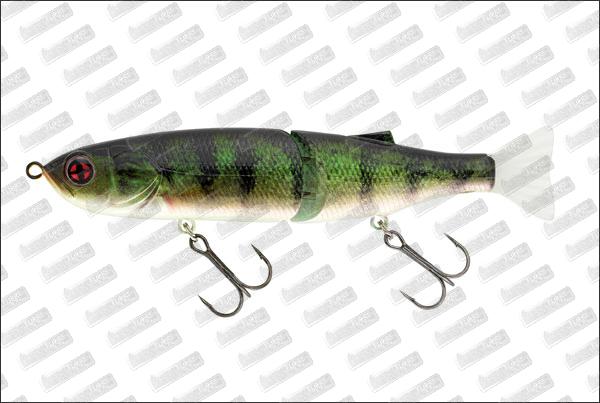 SAKURA S-Shiner 145 #RL03