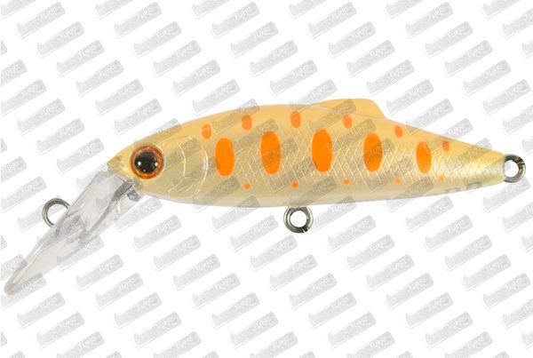 TACKLE HOUSE Buffet Doras DR 43DD #D116