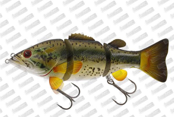 WESTIN Barry The Bass HL/SB #Largemouth Bass