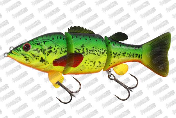 WESTIN Barry The Bass HL/SB #Crazy Firetiger