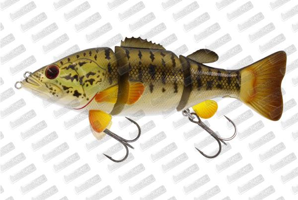 WESTIN Barry The Bass HL/SB #Smallmouth Bass