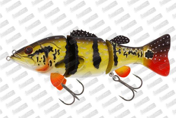 WESTIN Barry The Bass HL/SB #Peacock Bass