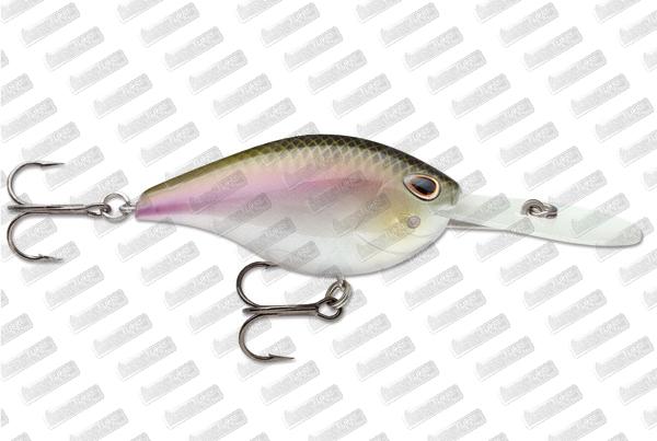 STORM ARASHI Rattling Deep 18 #Wakasagi