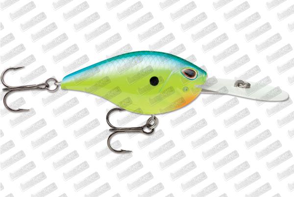 STORM ARASHI Rattling Deep 18 #Parrot