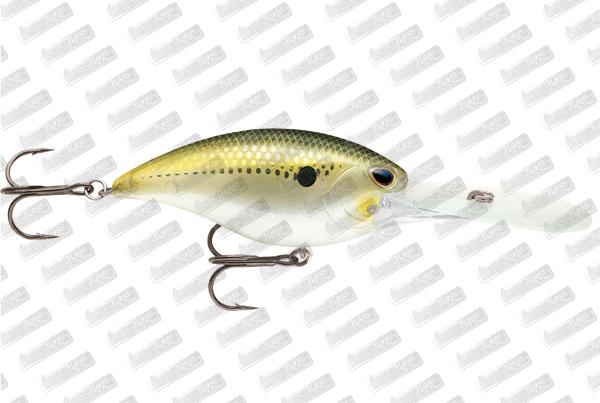 STORM ARASHI Rattling Deep 18 #Green Gold Shad