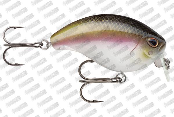 STORM ARASHI Wake Crank 06 #Wakasagi