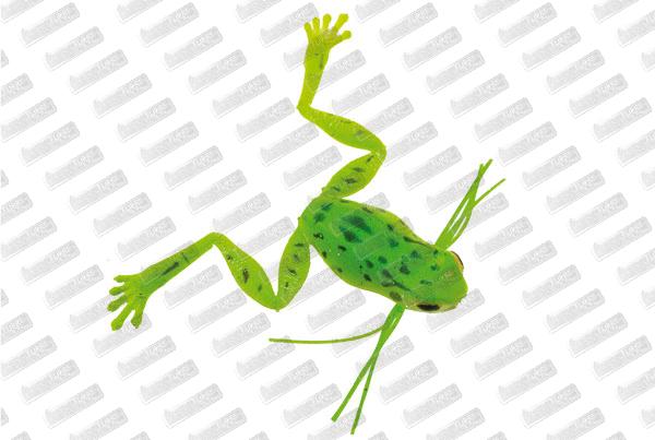 VIVA Namagaeru 3 cm #06